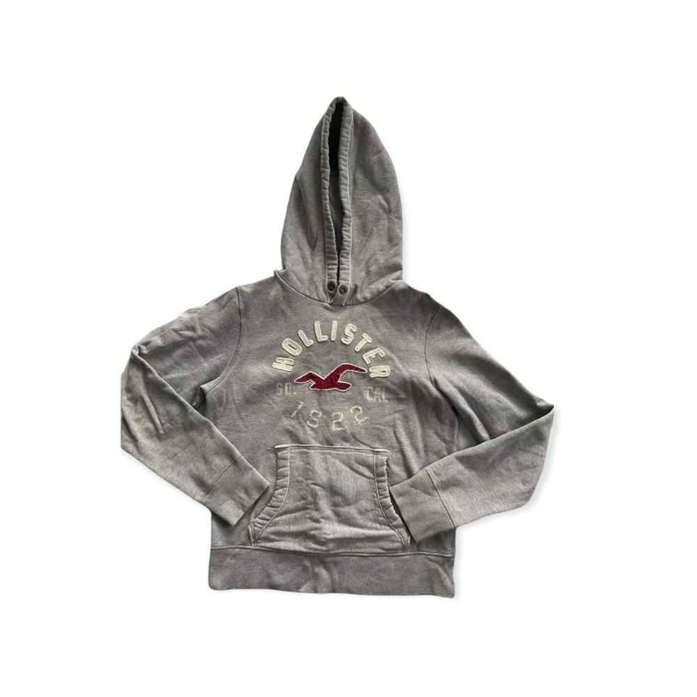 Men's Hollister Hoodie